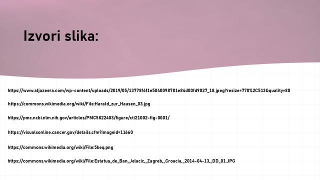 Dana-mimoza---Nacionalnog-dana-brobe-protiv-raka-vrata-maternice015