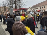 prve-subote-proljeca-tradicionalno-se-obiljezava-dan-narcisa06